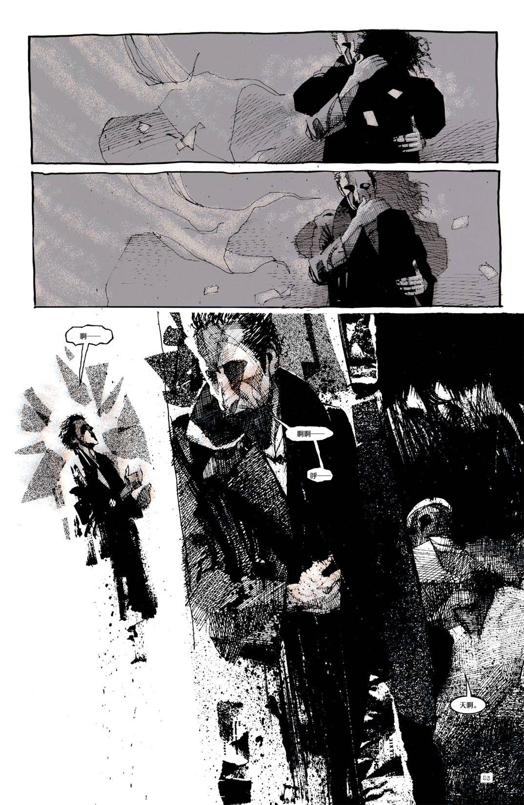 23.jpg