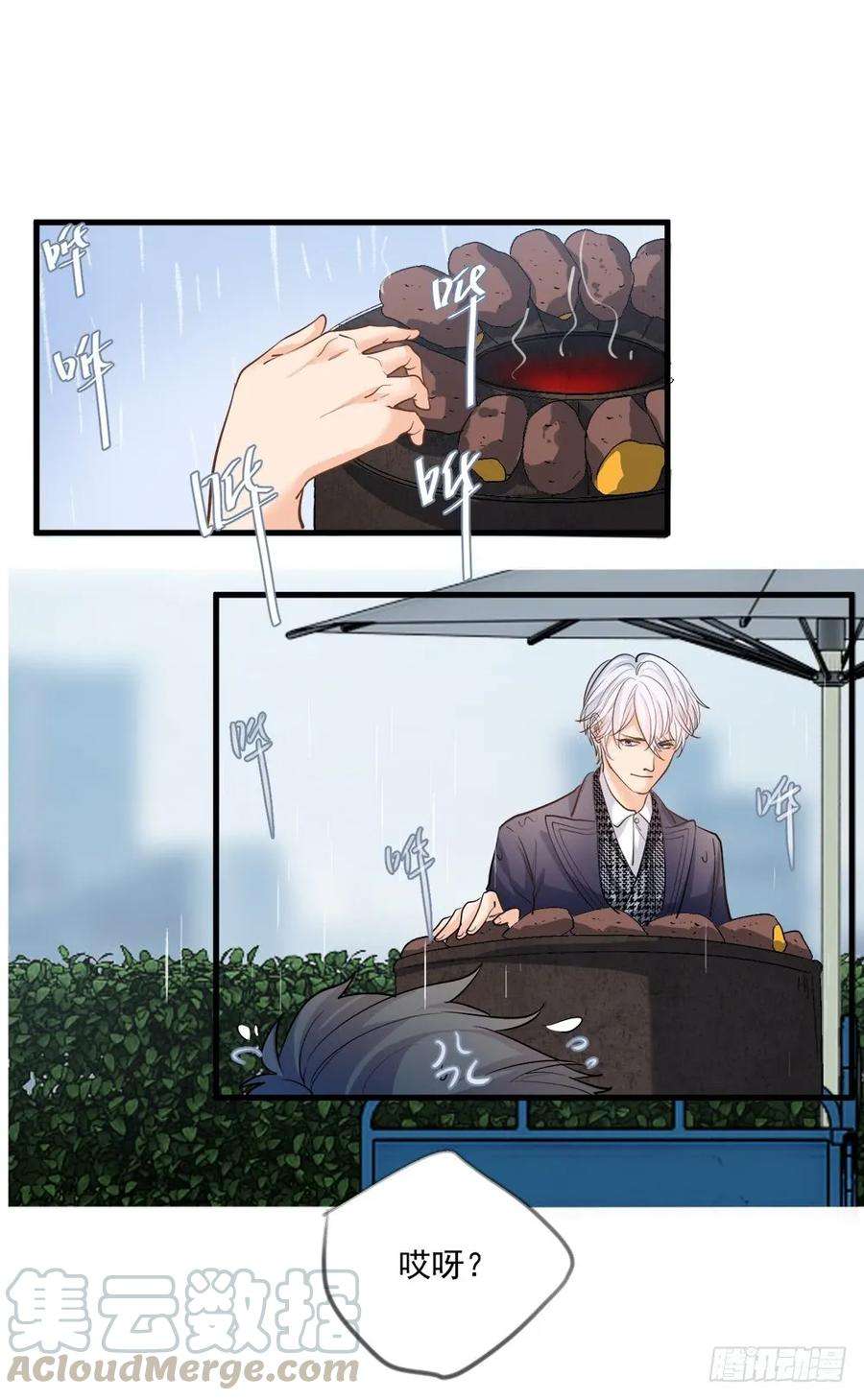 31.jpg
