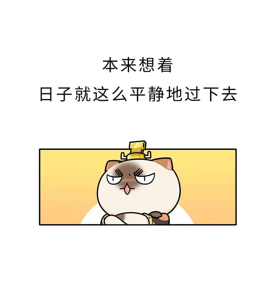 39.jpg