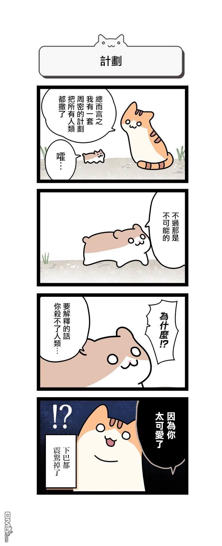 5.jpg