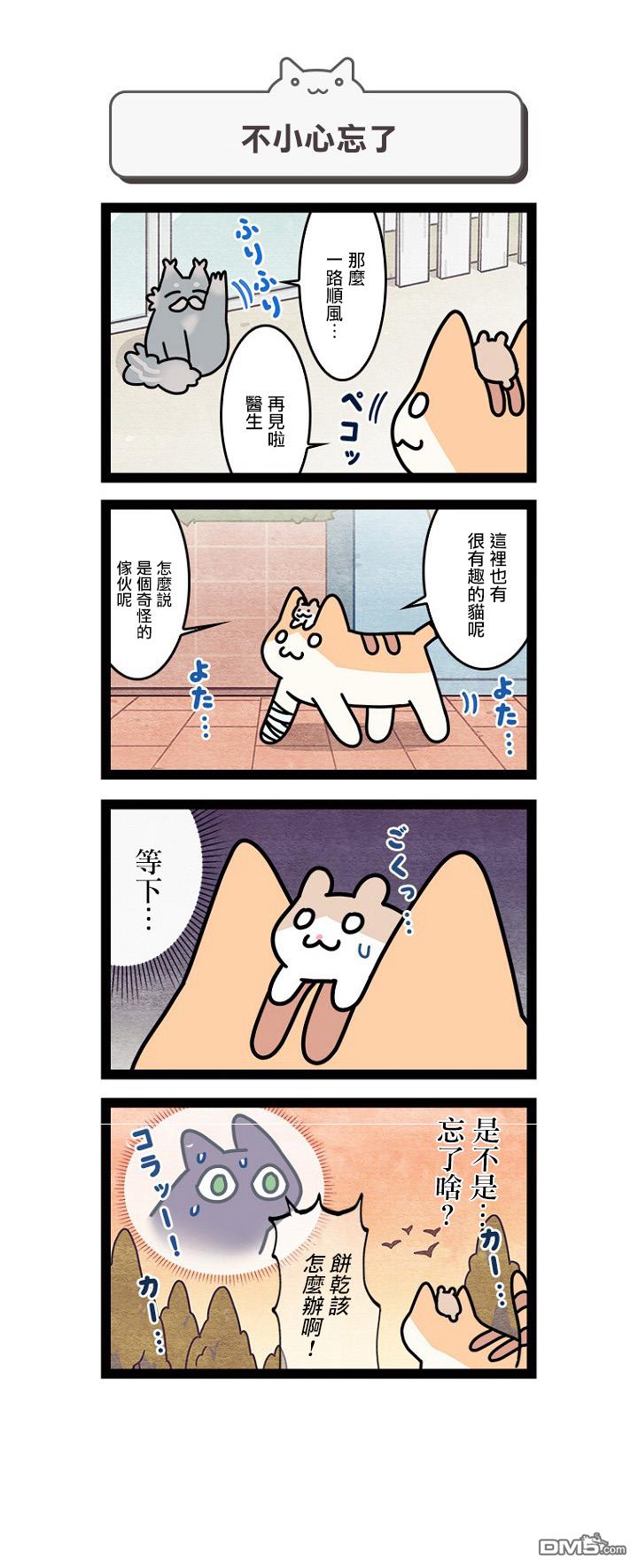 11.jpg