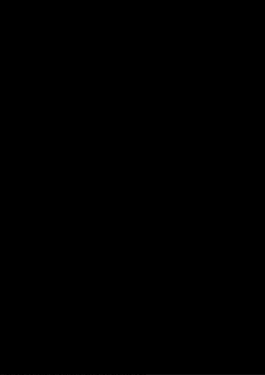 163.jpg