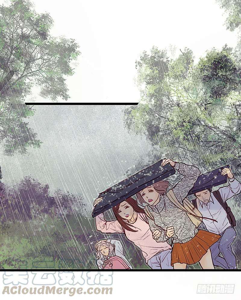 29.jpg
