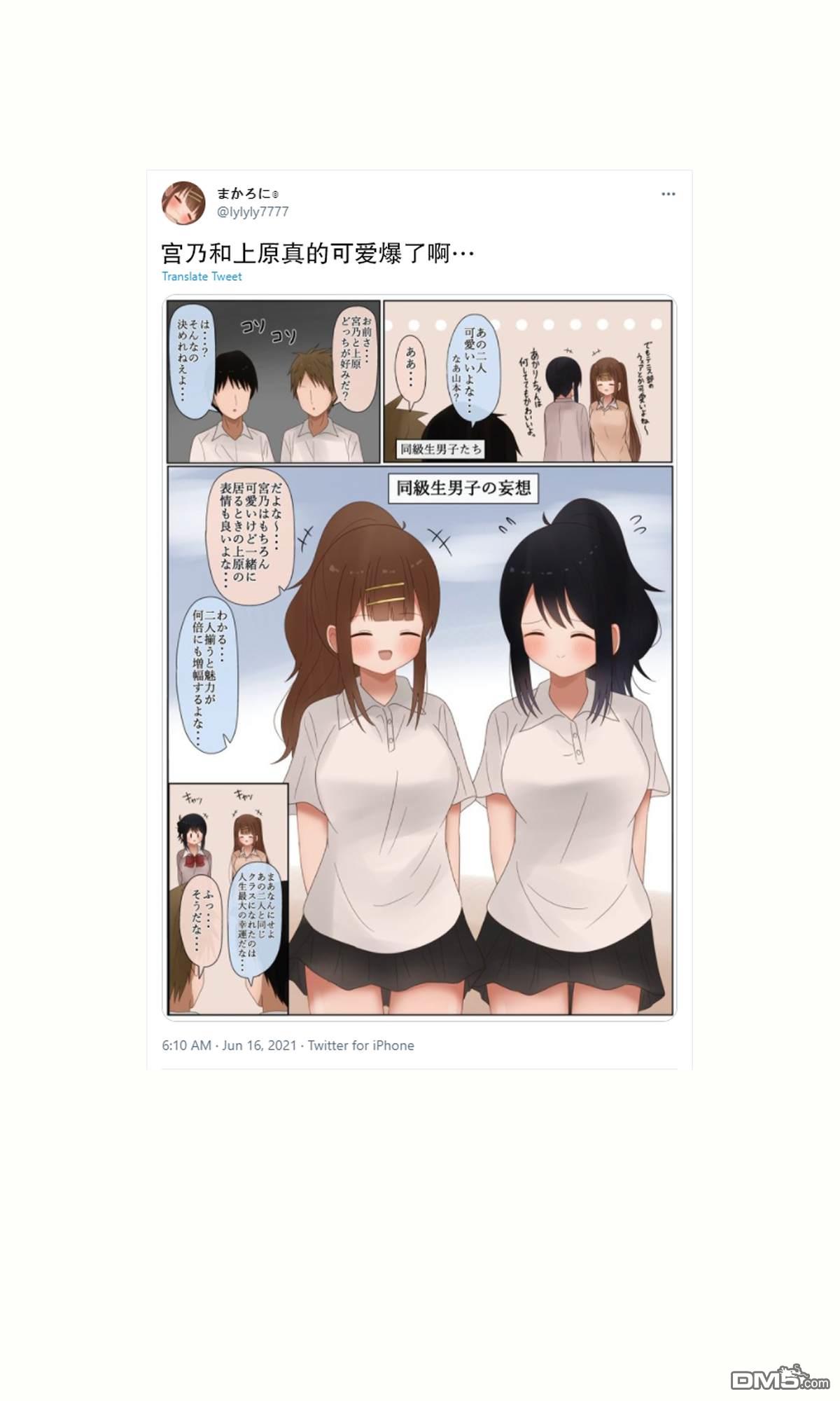 5.jpg