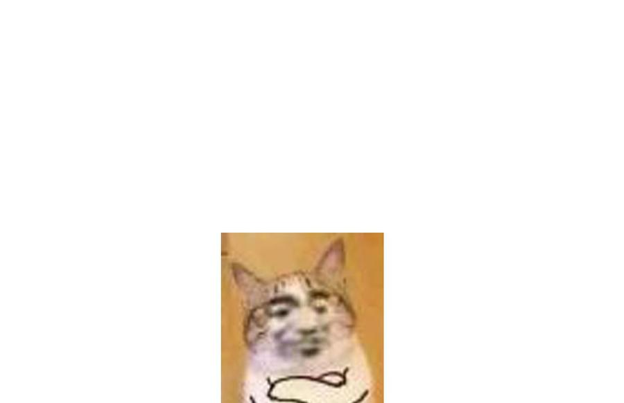 36.jpg