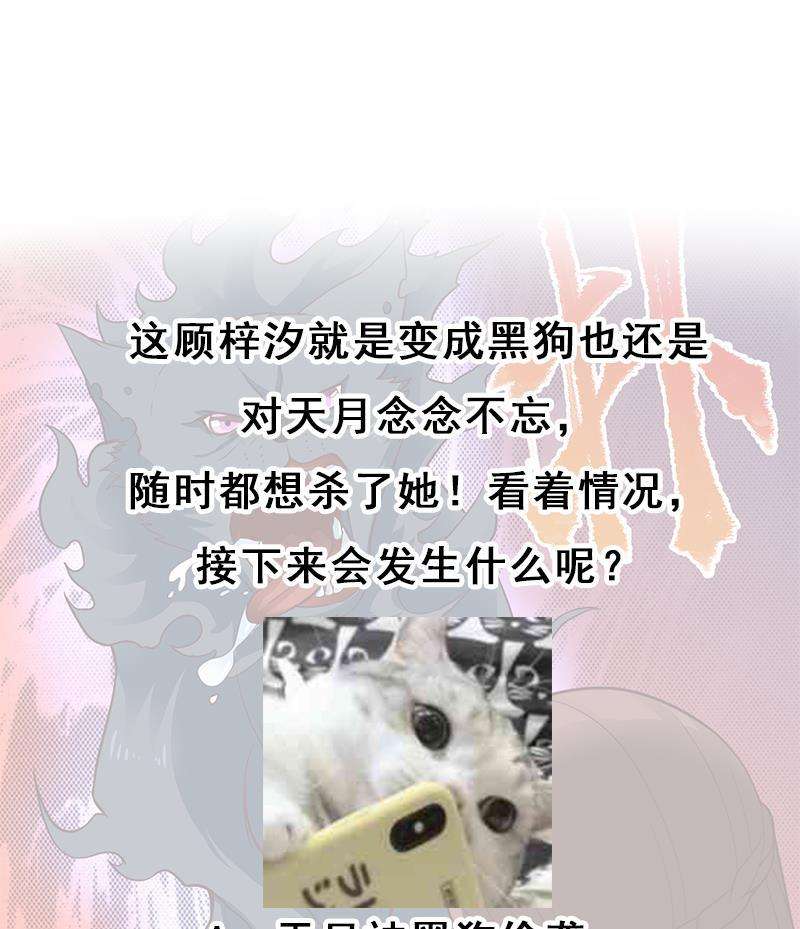53.jpg