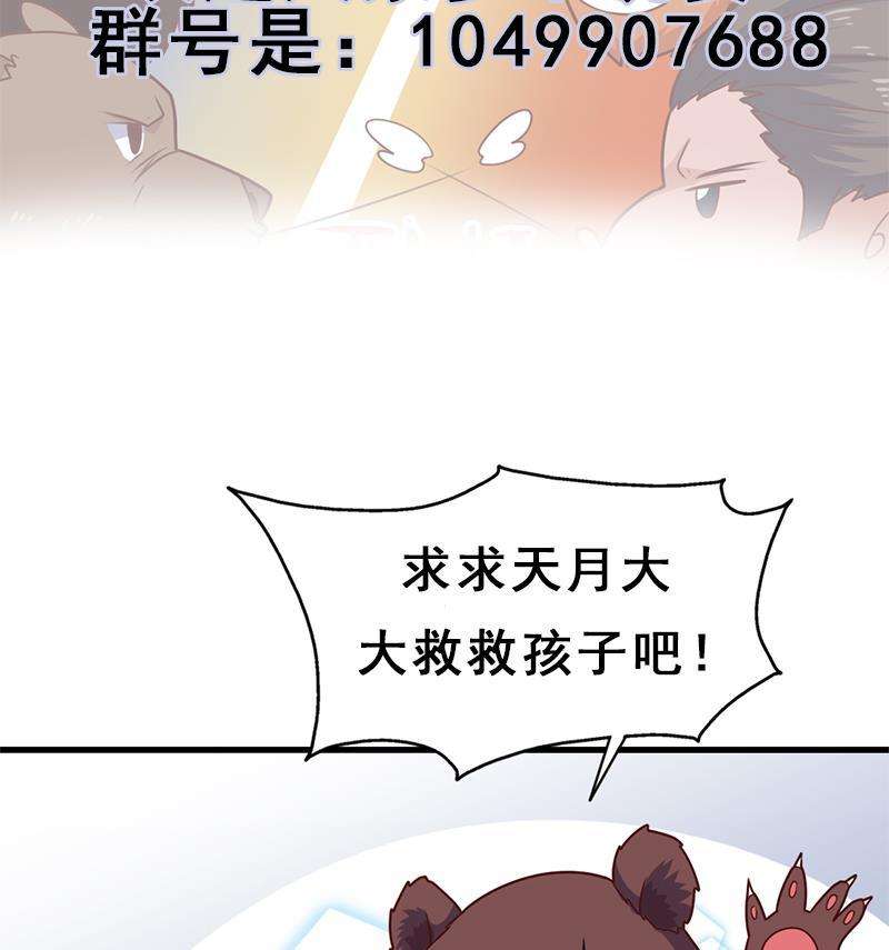 74.jpg