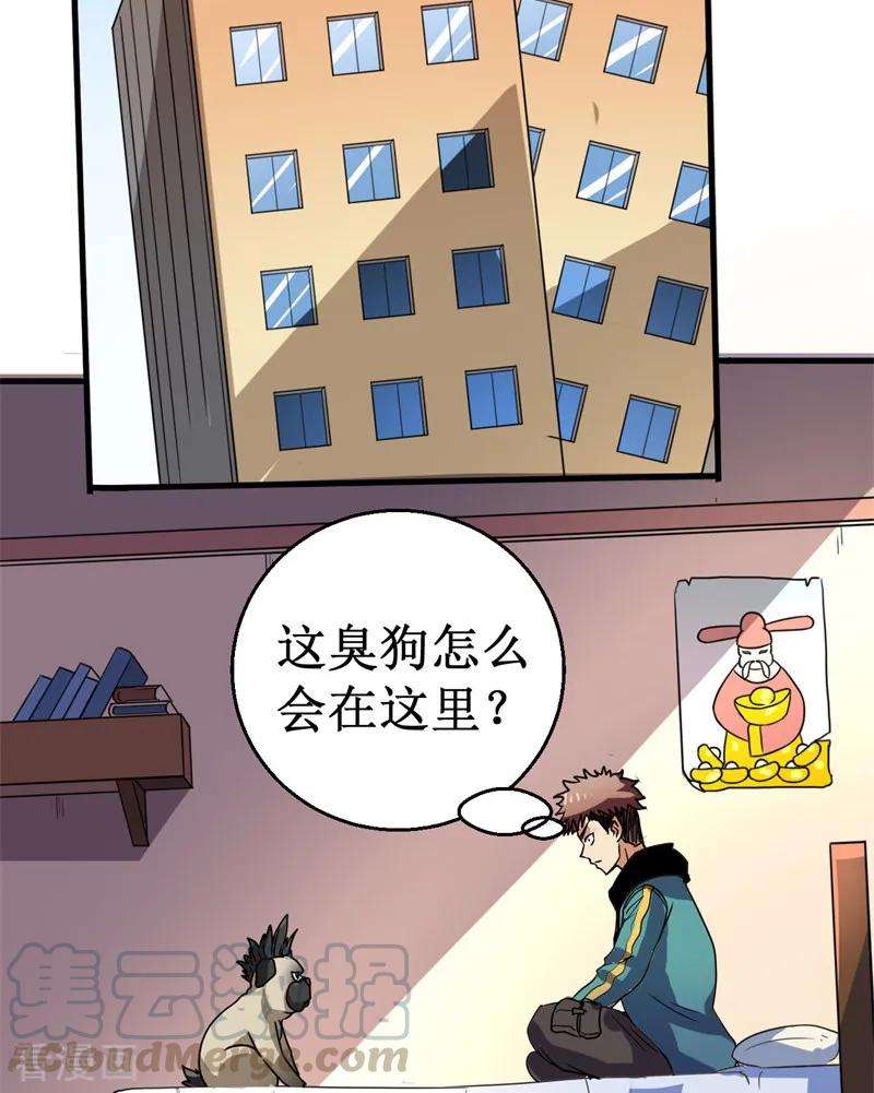 19.jpg