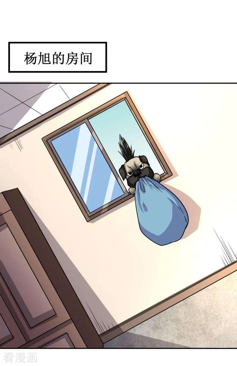 28.jpg