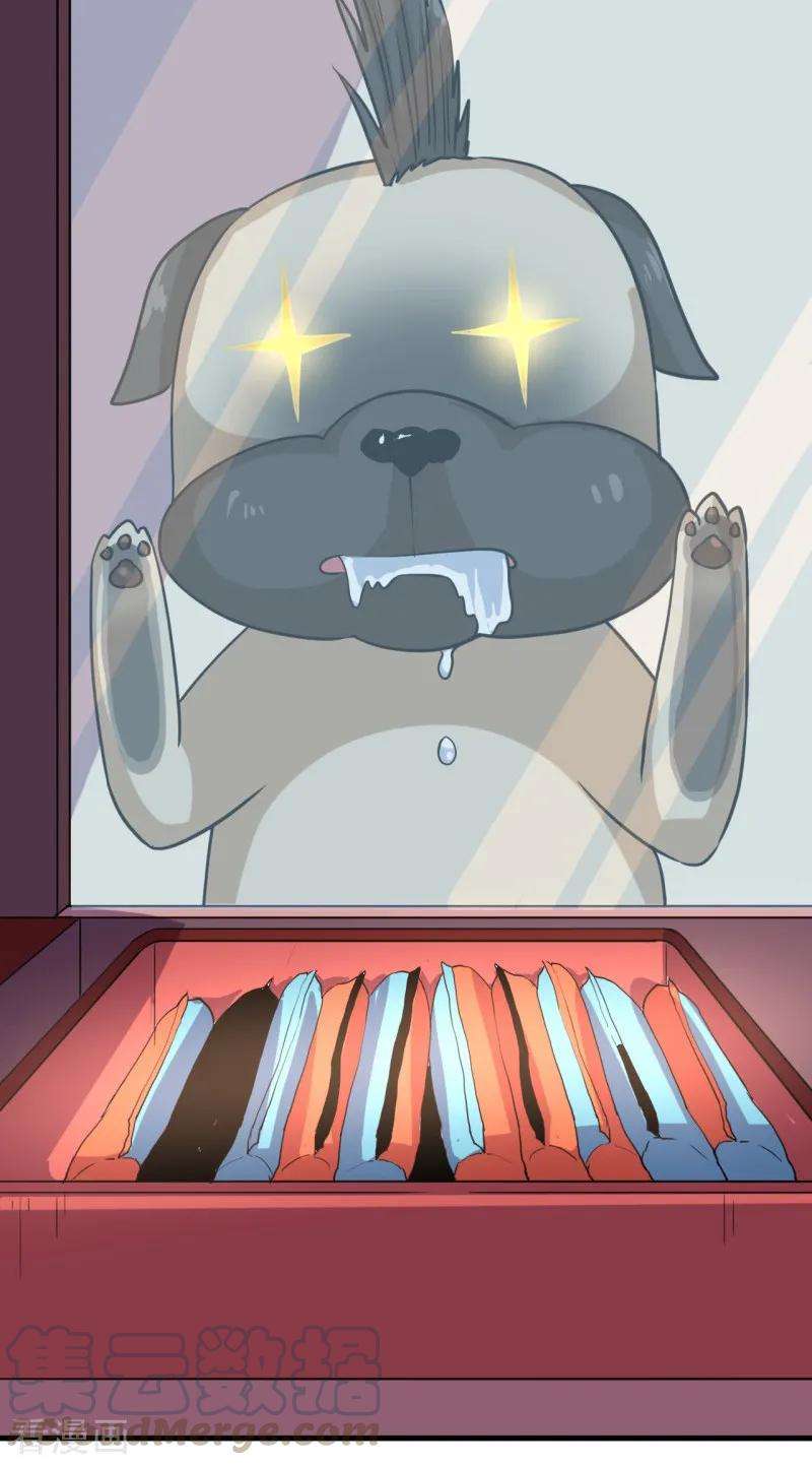 33.jpg