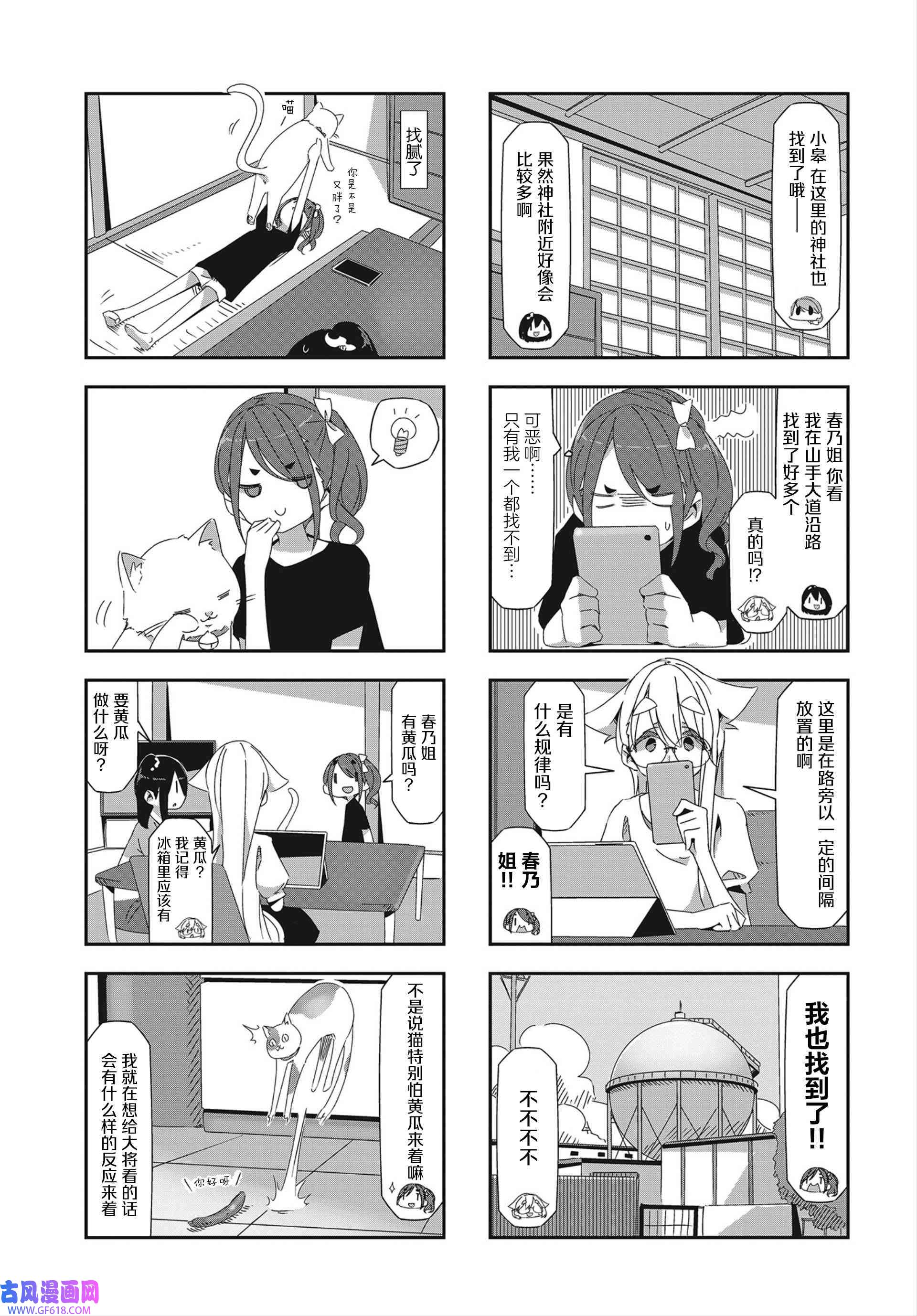 5.jpg