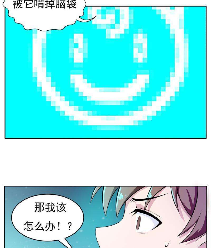 29.jpg