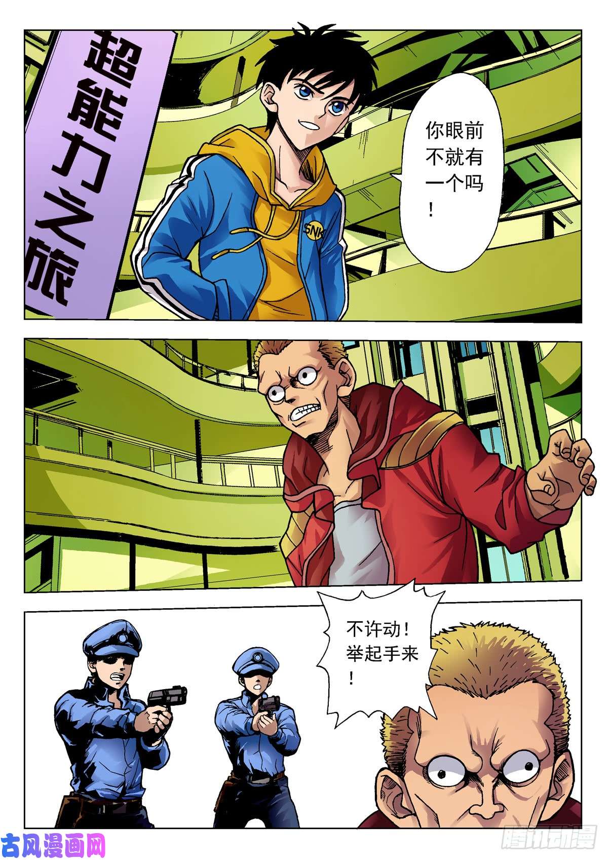 15.jpg