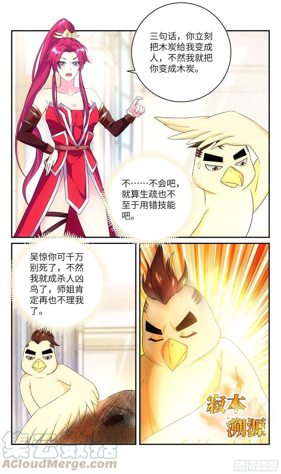 11.jpg