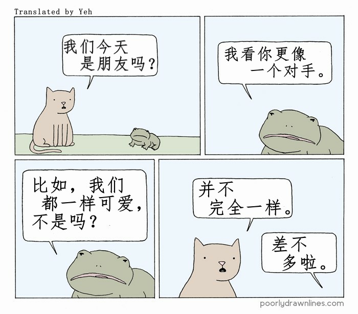 5.jpg