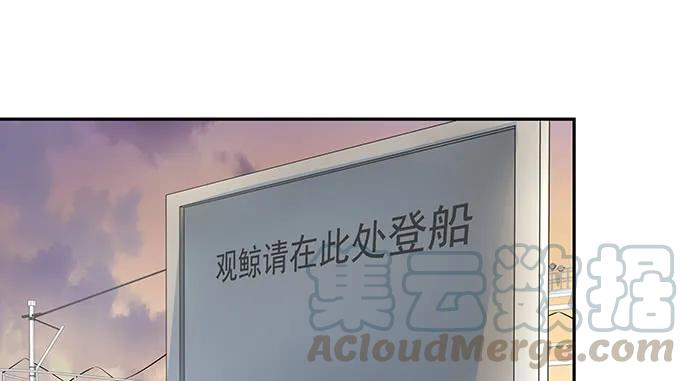 96.jpg