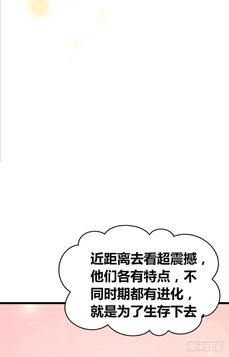 62.jpg