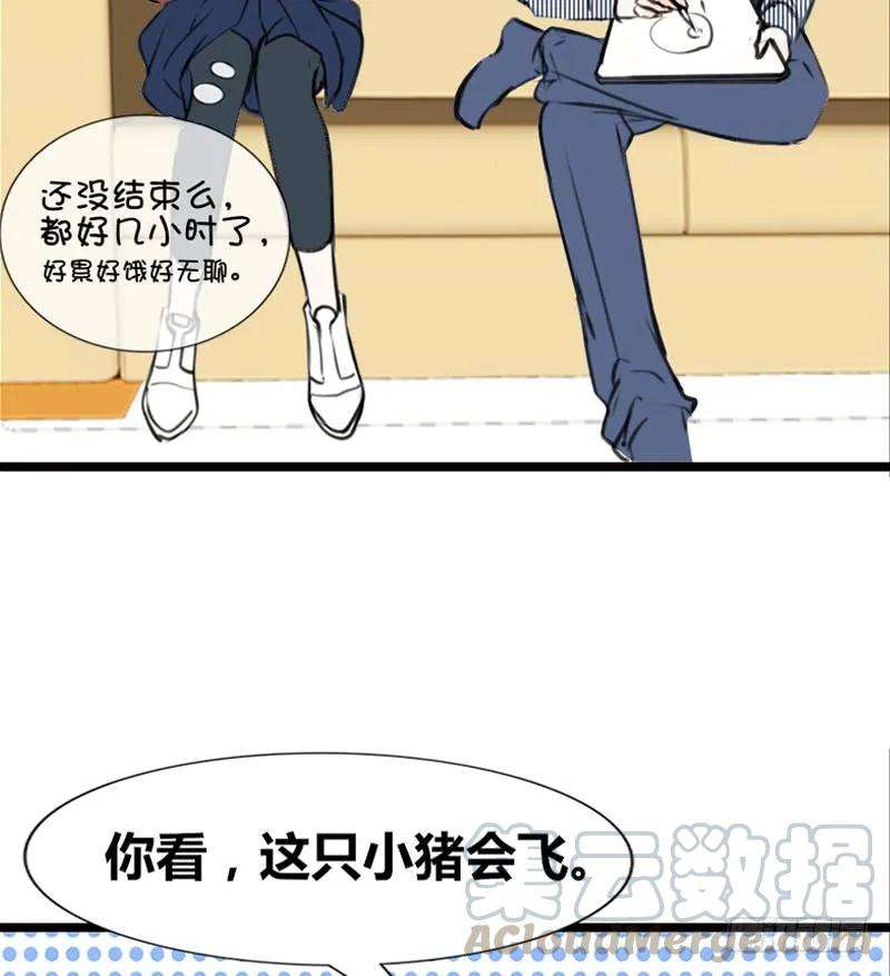 41.jpg