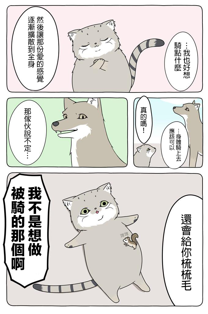 5.jpg