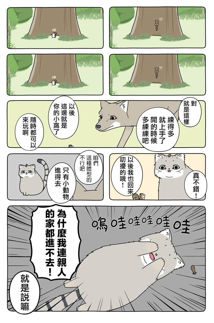 4.jpg