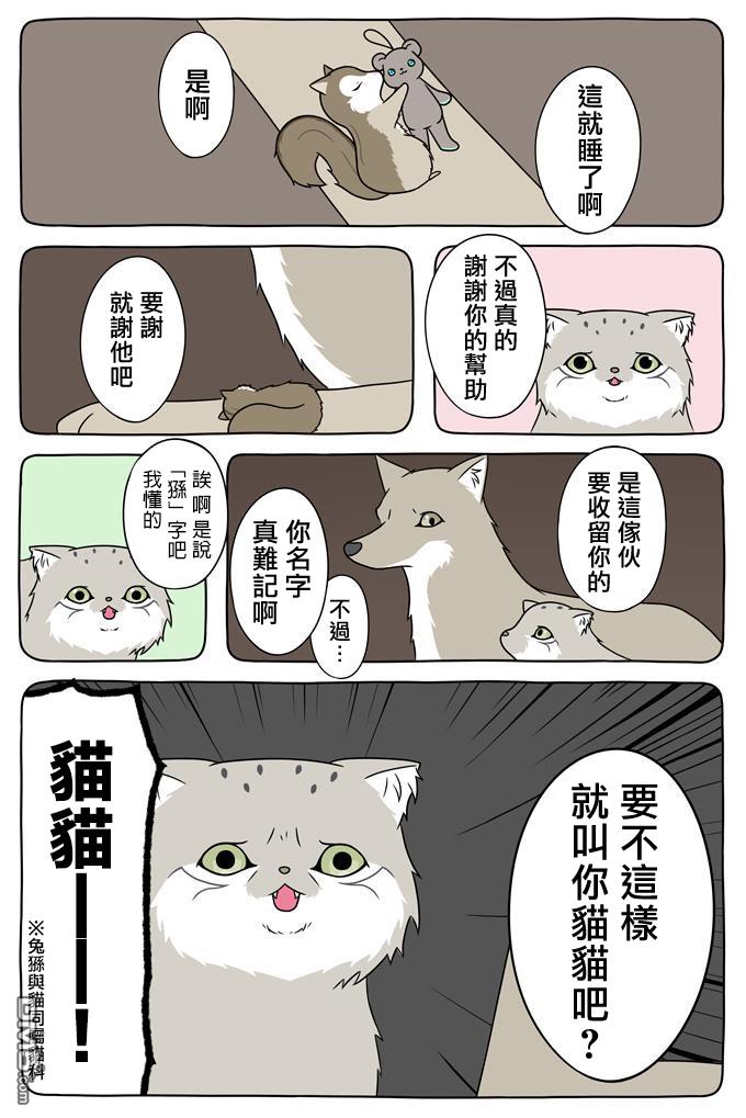 2.jpg