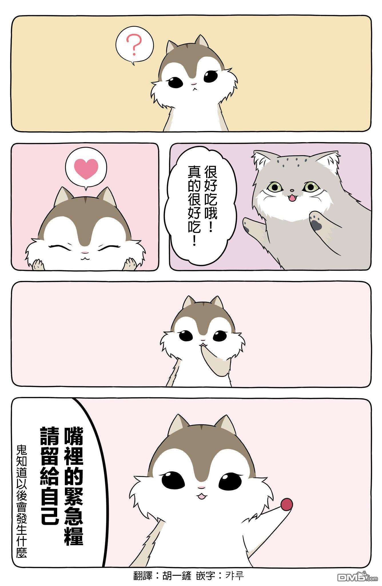 1.jpg