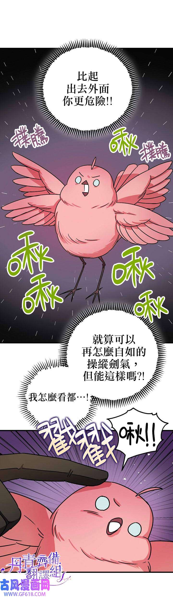 17.jpg