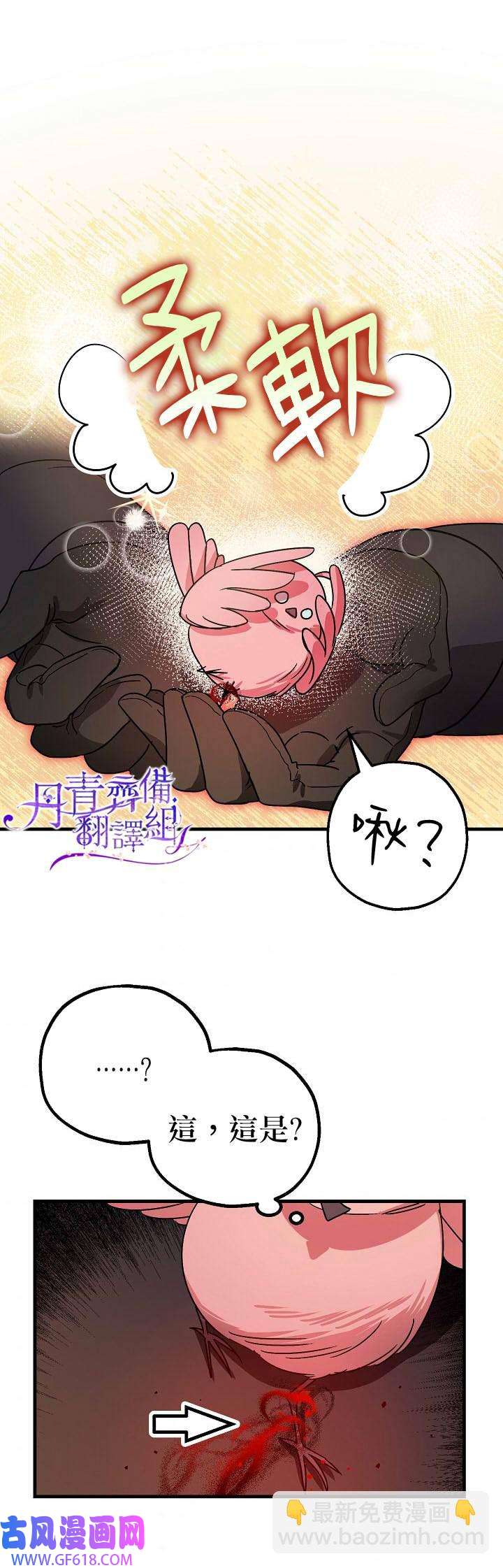 14.jpg
