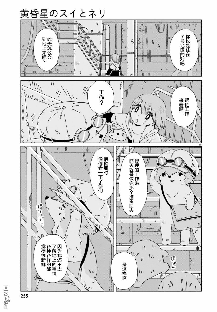 9.jpg