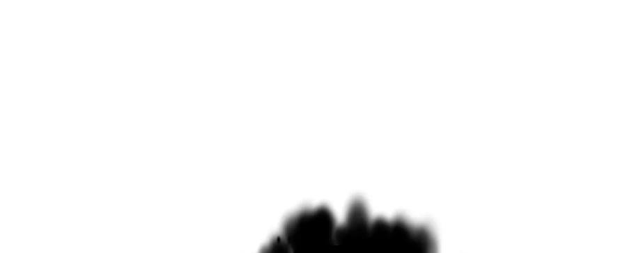 164.jpg