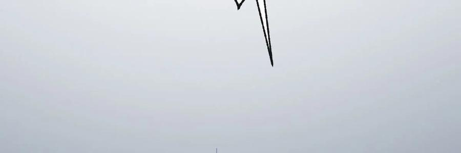 79.jpg