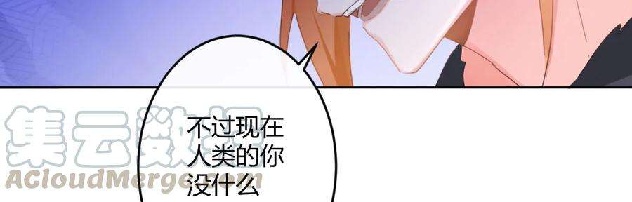 136.jpg