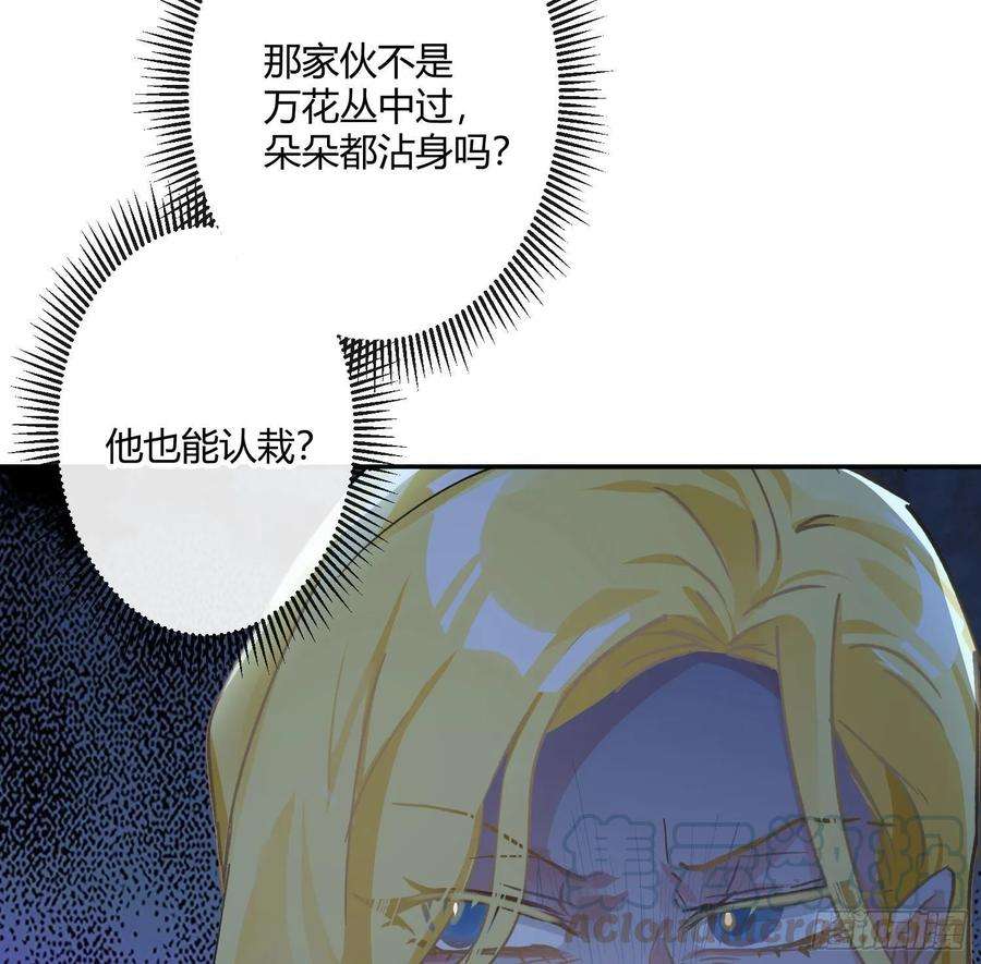 77.jpg
