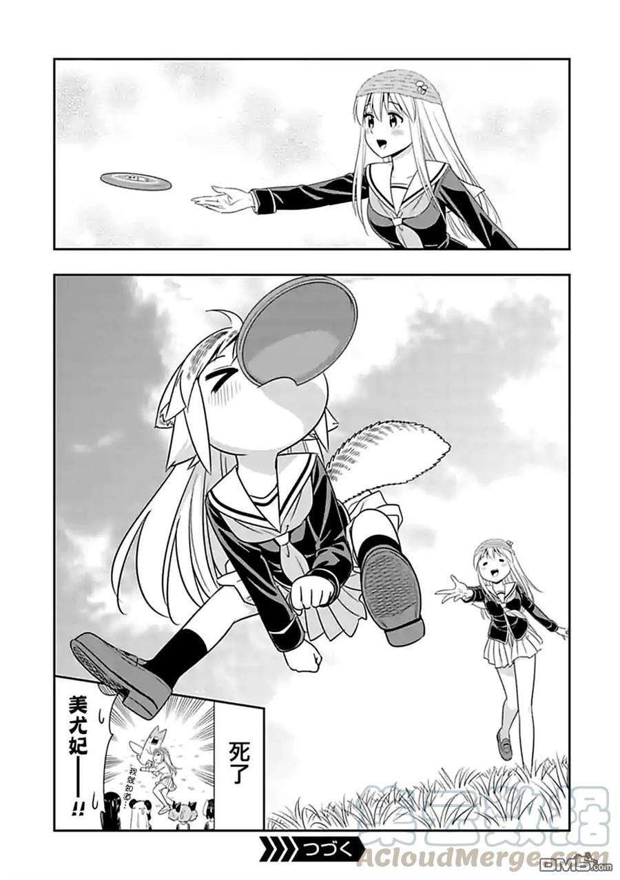 13.jpg