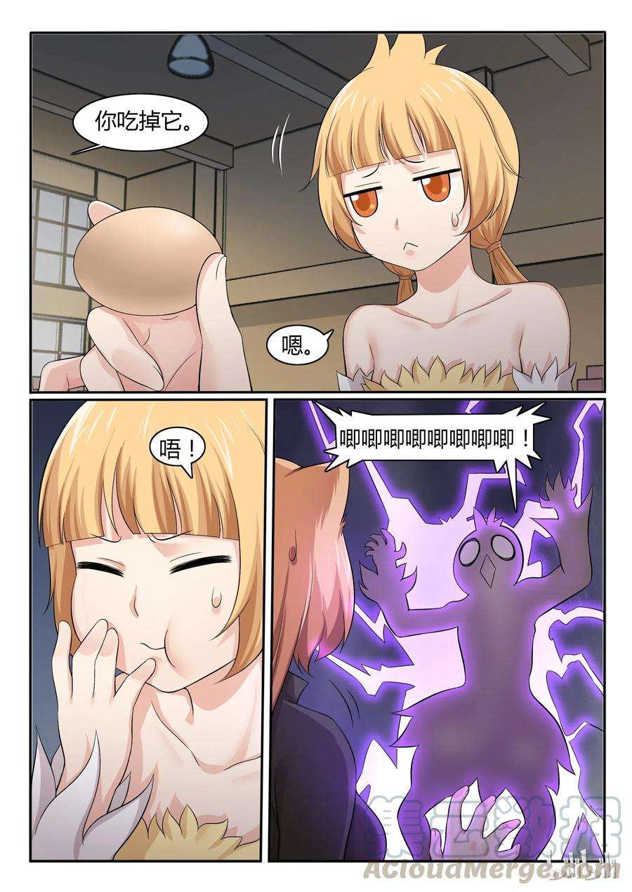 11.jpg