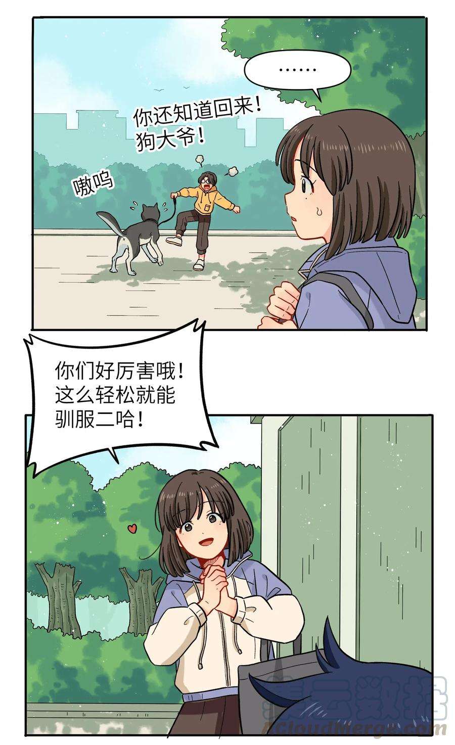 13.jpg