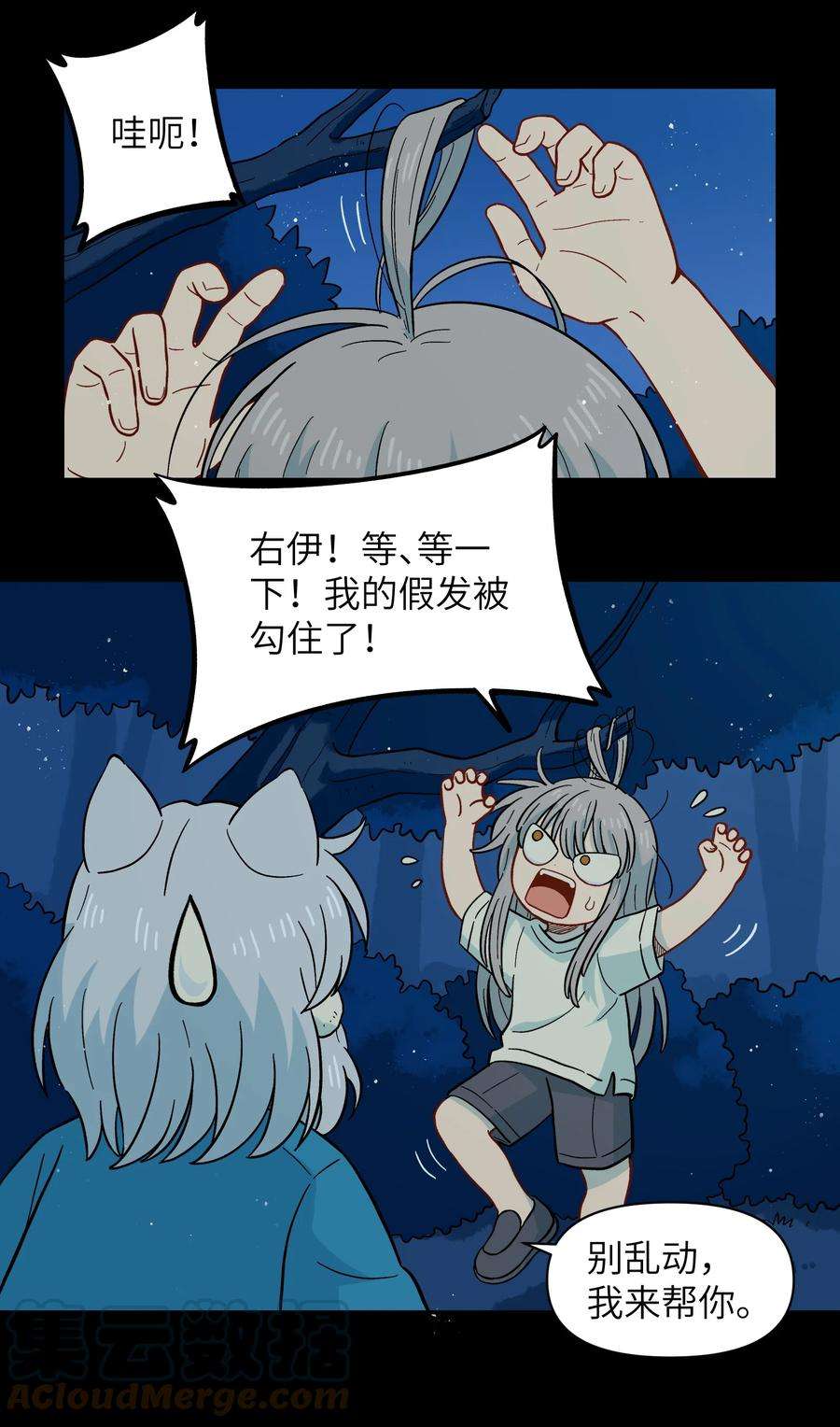 13.jpg