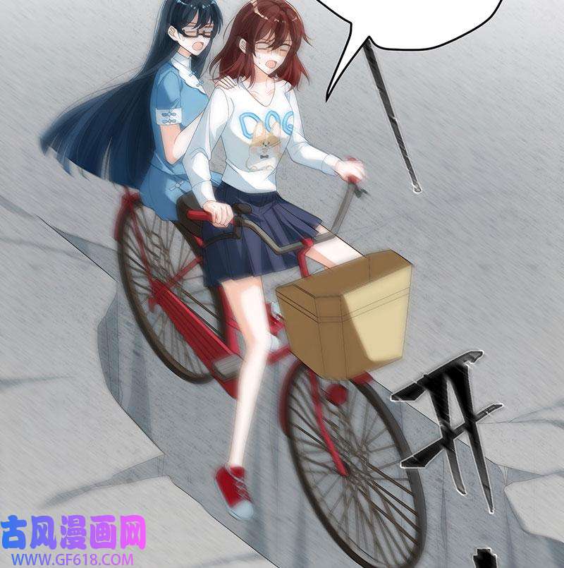 41.jpg