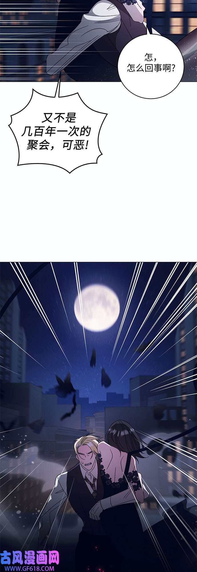 41.jpg