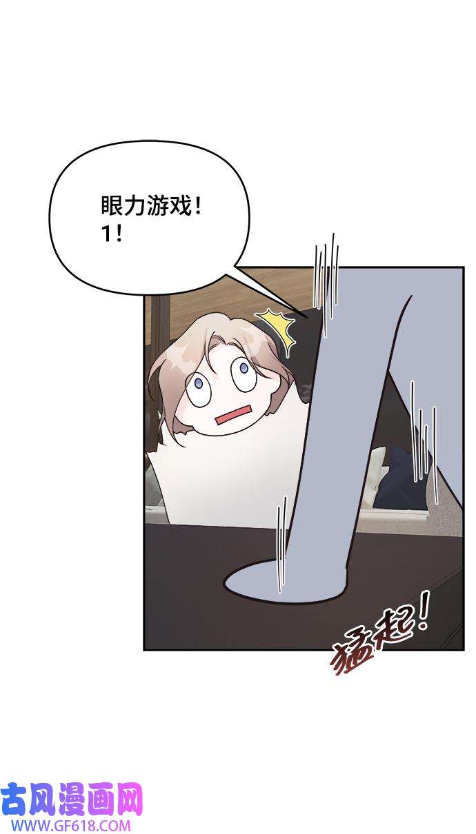 48.jpg