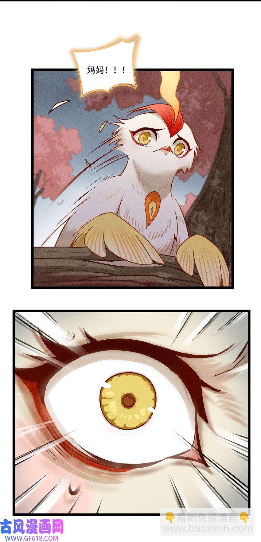 44.jpg