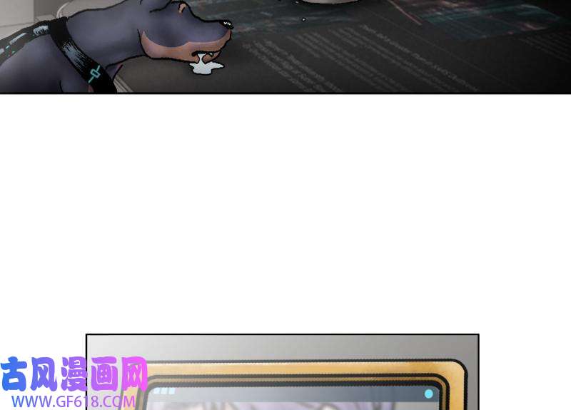 46.jpg