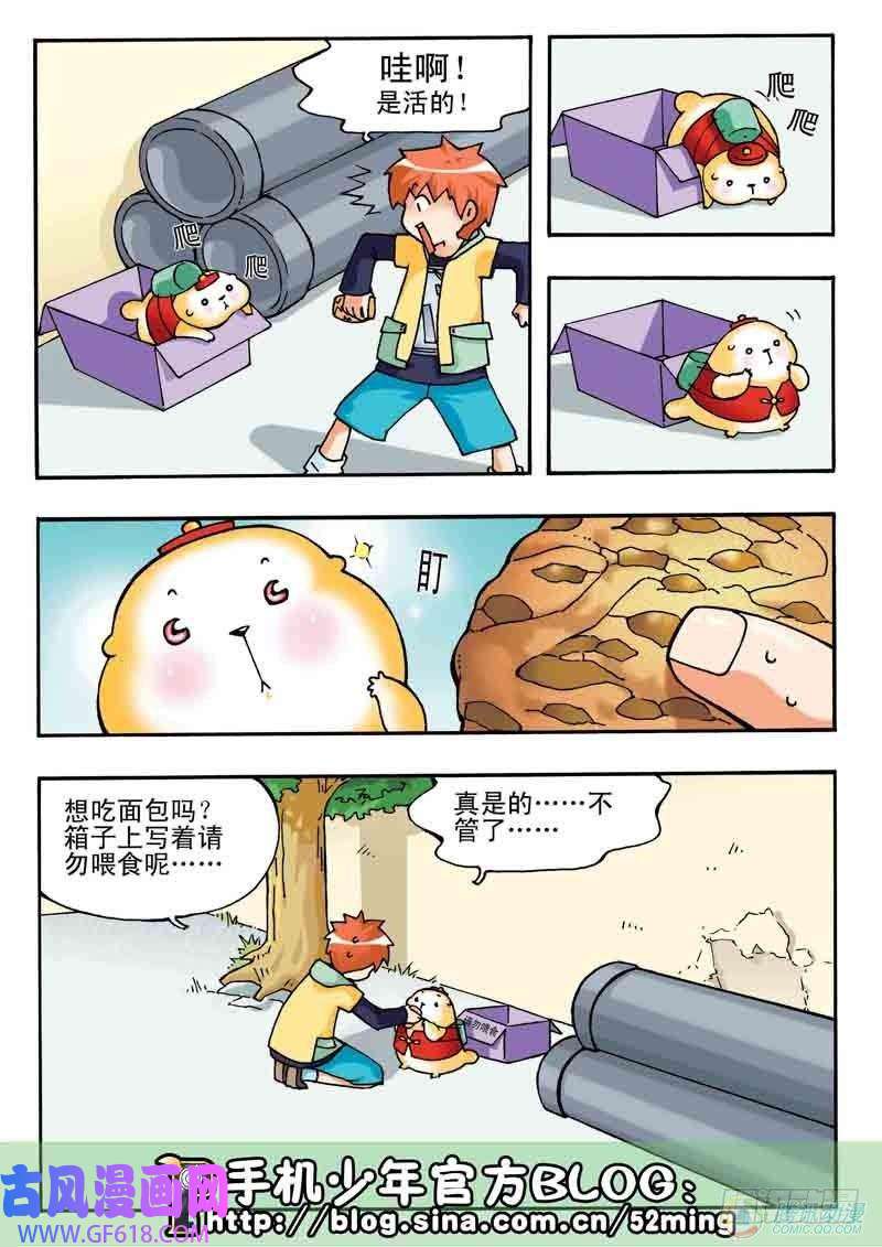 4.jpg