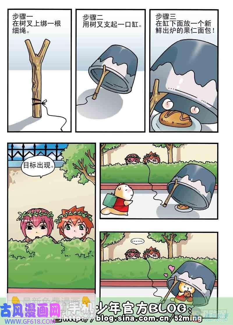 5.jpg