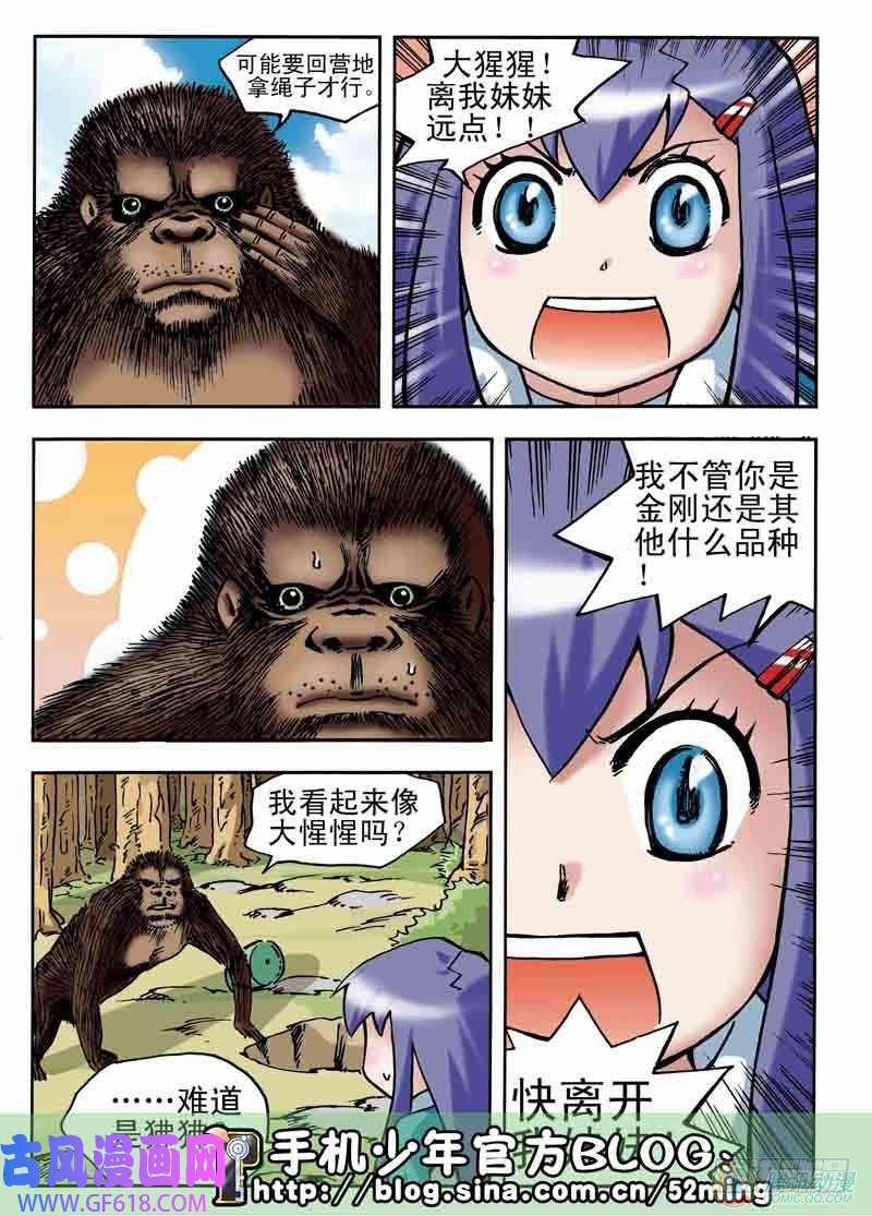 13.jpg