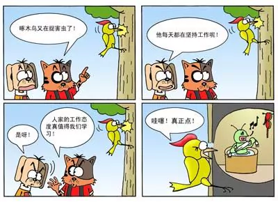 14.jpg