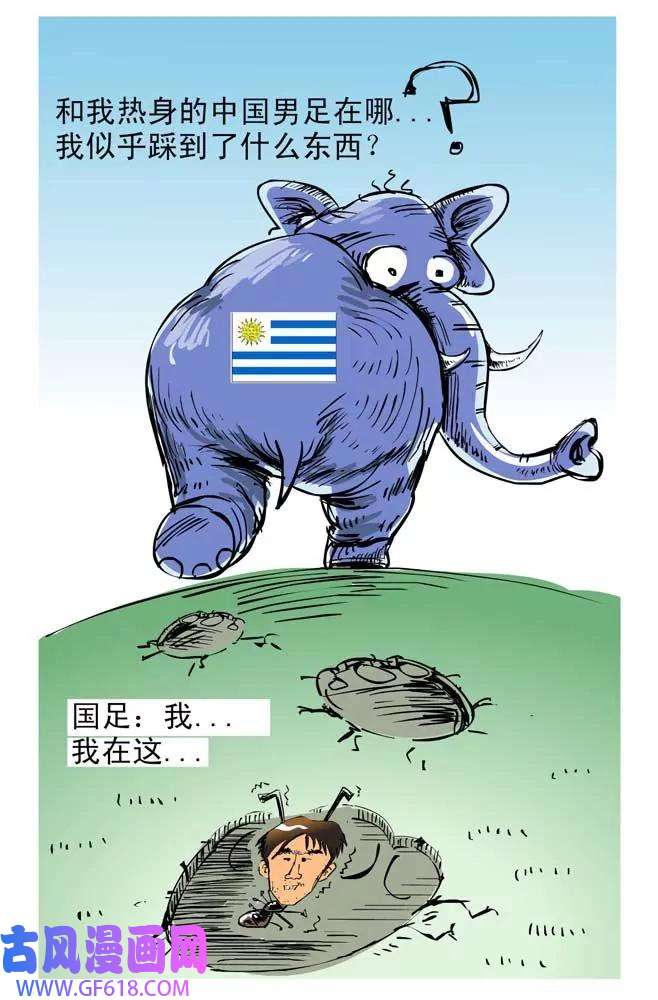 5.jpg