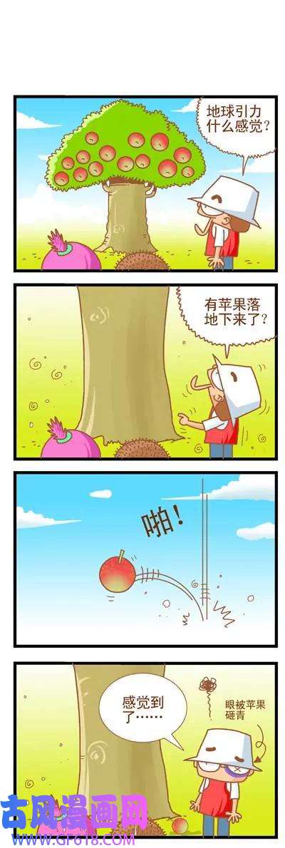 15.jpg