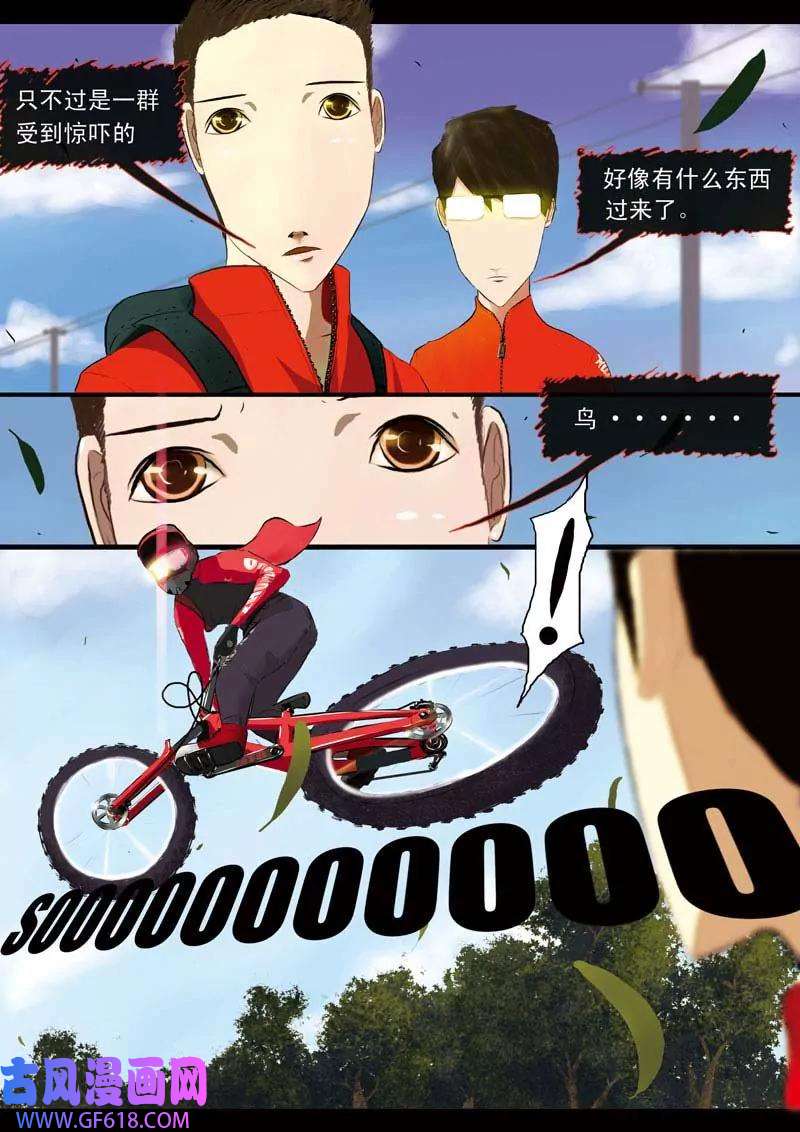 12.jpg