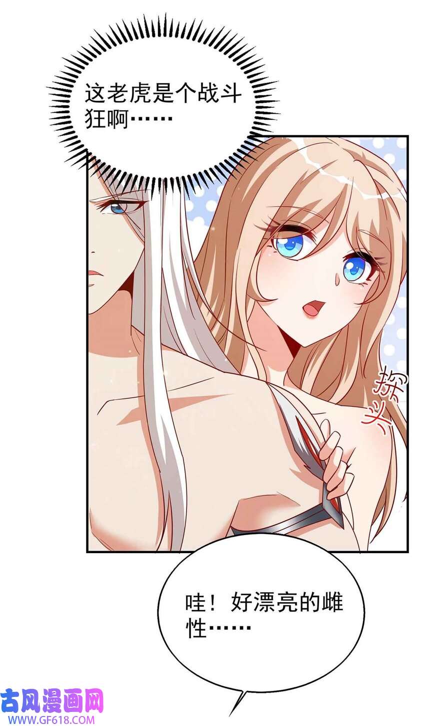 17.jpg